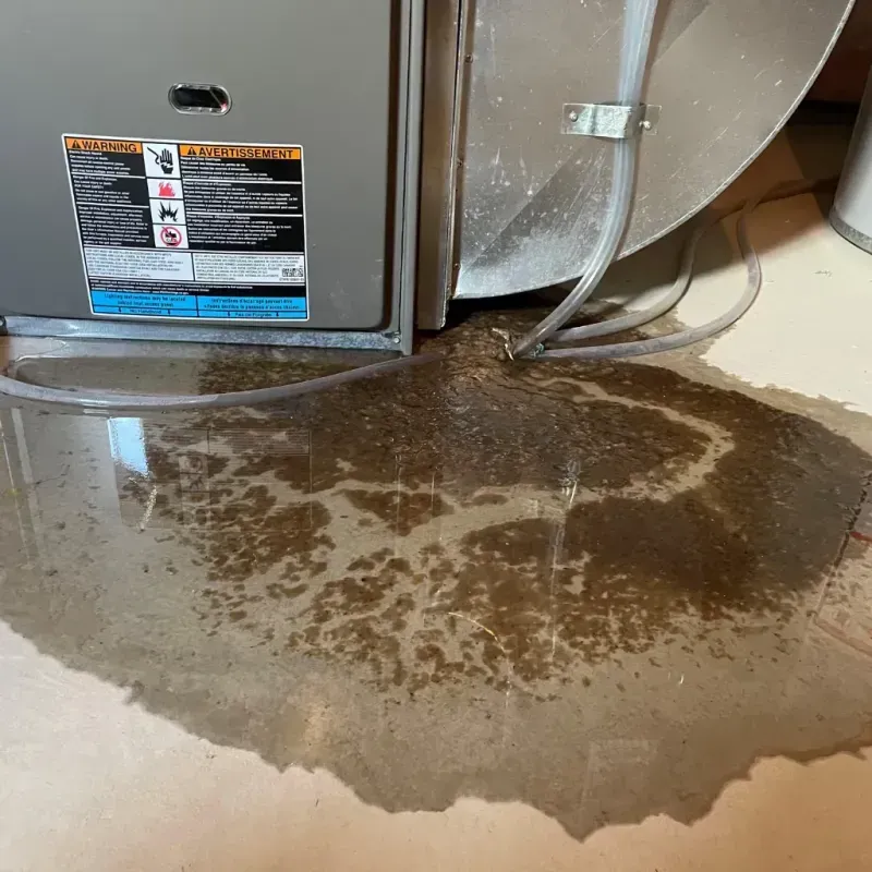 Appliance Leak Cleanup in Jefferson, NC